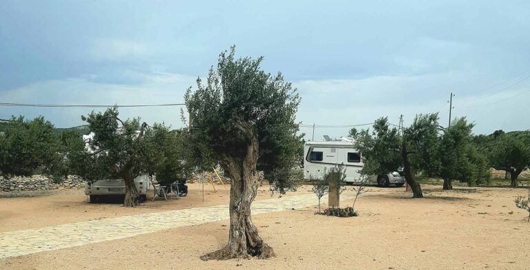 100 camp banovi dvori pitches 768x392