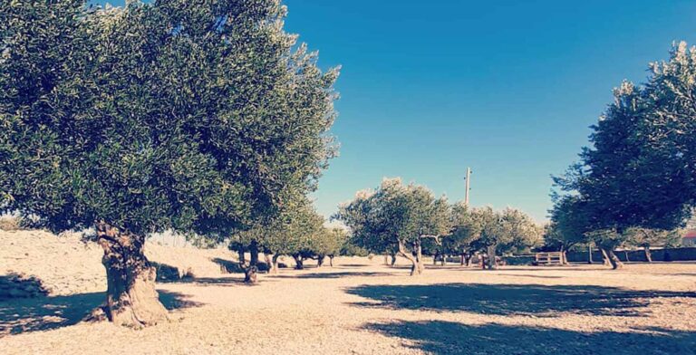 110 camp banovi dvori accommodation 768x392