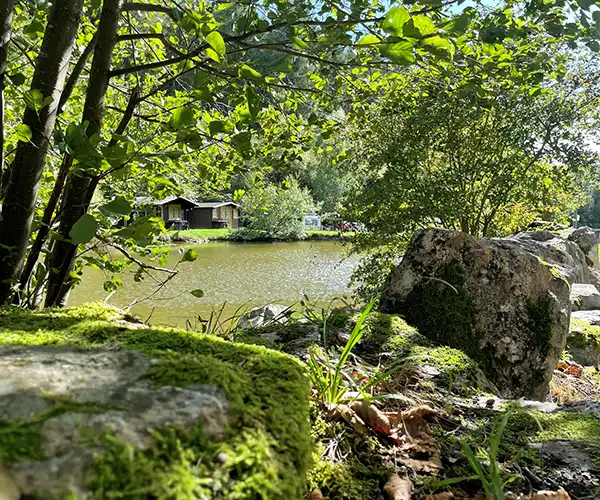 campingplatz bockenauer schweiz campconsult 600x500px